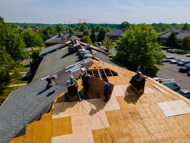 24/7 Emergency Metal Roofing experts in Lenox, TN